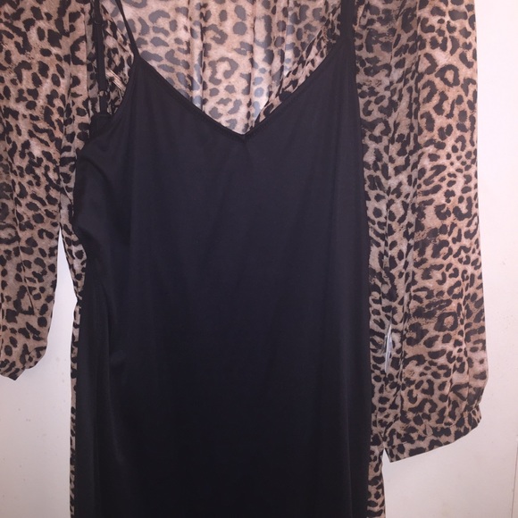 NWT Charming Charlie "Zora" Leopard Print Dress - Picture 7 of 8